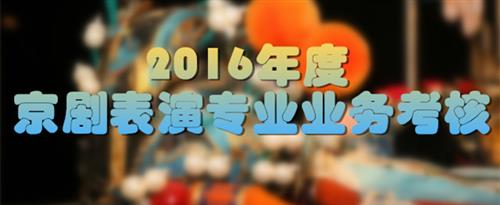 日本操肥逼国家京剧院2016年度京剧表演专业业务考...